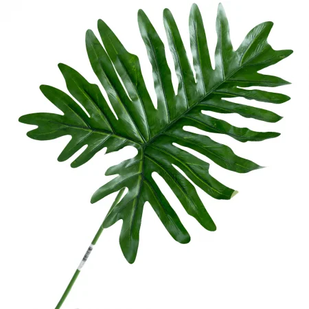 Nh&aacute;nh Trầu B&agrave; L&aacute; Xẻ A237SF