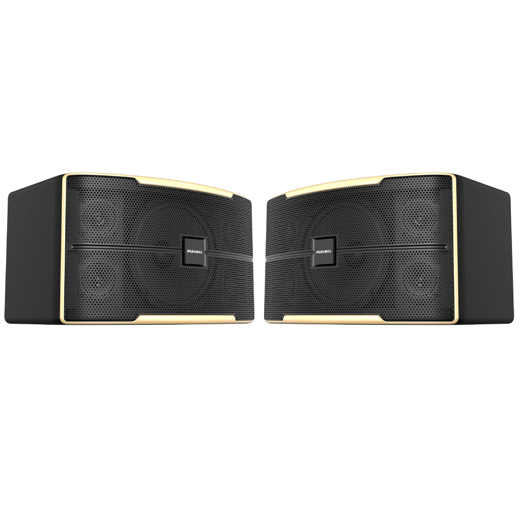 Loa Karaoke 10 Inches Paramax Z-1500
