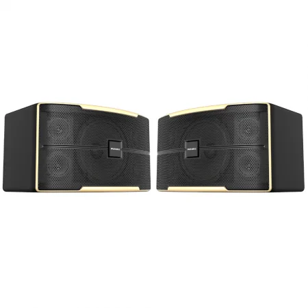 Loa Karaoke 12 Inches Z-2500