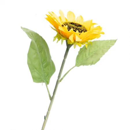 Nhánh Hoa Hướng Dương ECOFF1