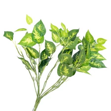 Bụi Cây Môn Trường Sinh 45CM-A255BO