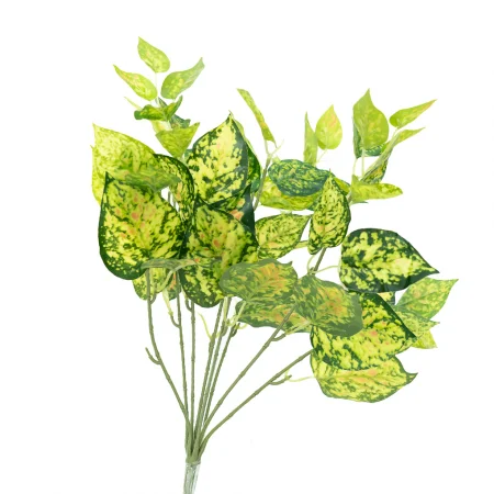 Bụi Cây Vạn Niên Thanh 45CM-A255BM