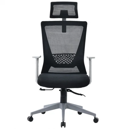 Ghế Văn Phòng Công Thái Học ECOOC-2108 Đen