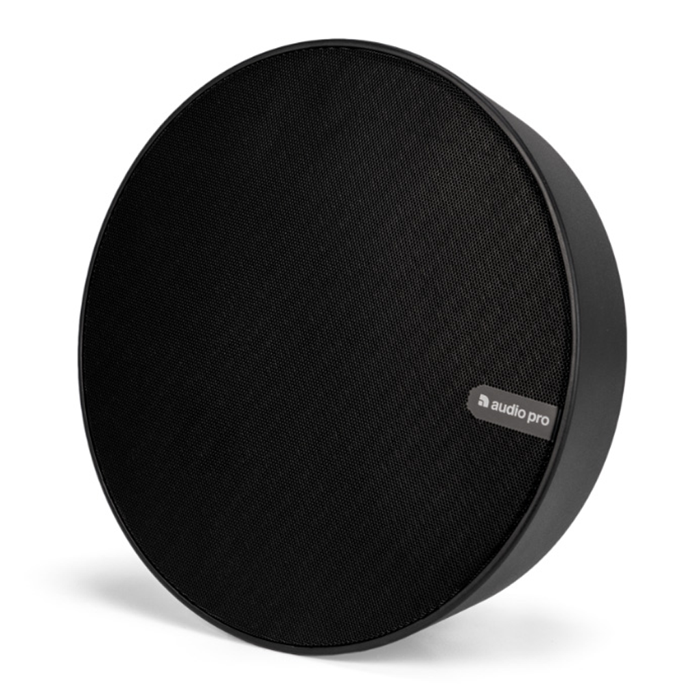 Loa Audio Pro SPW-5 0