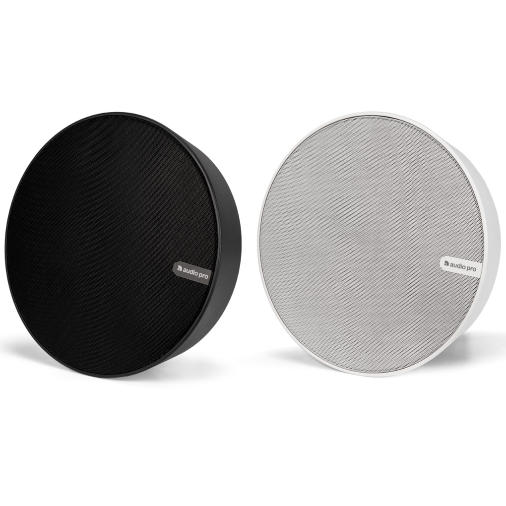 Loa Audio Pro SPW-5 1