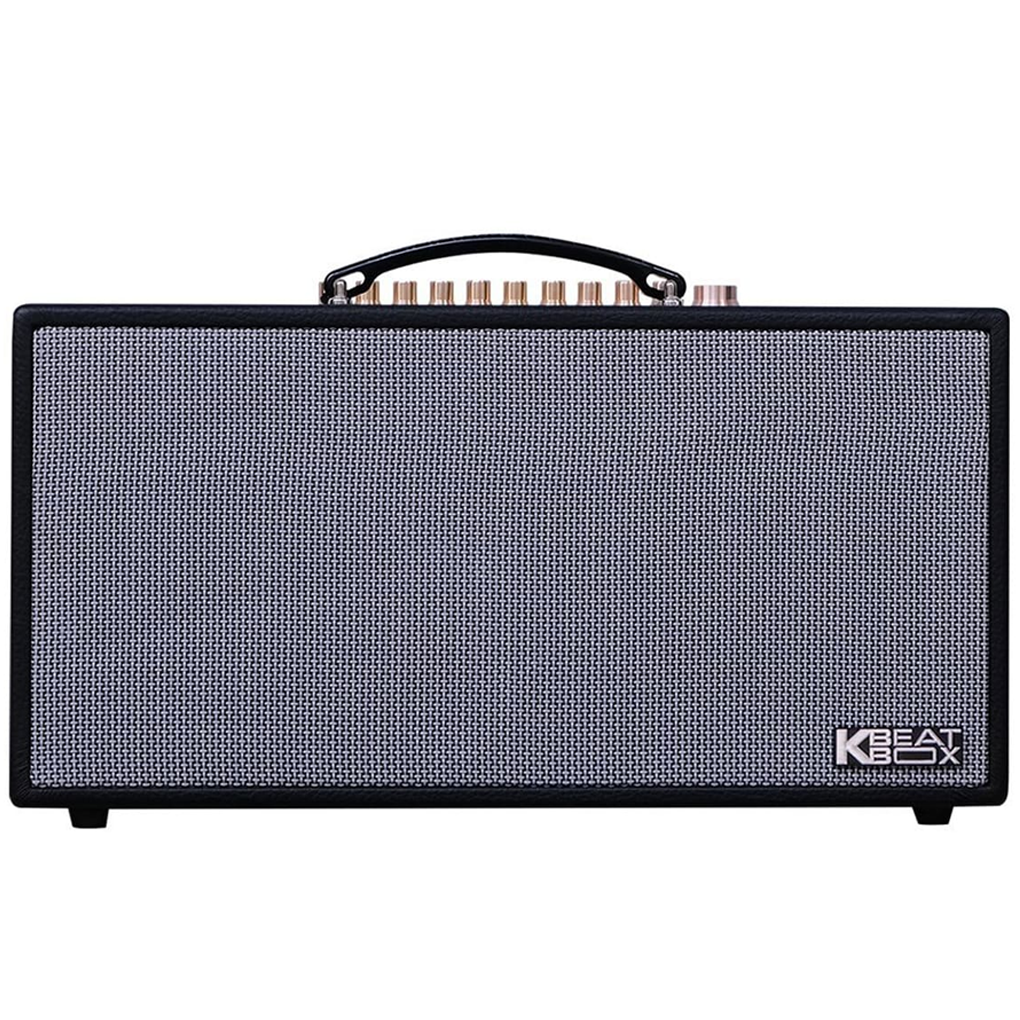 Loa Karaoke Xách Tay Acnos CS450SR 0