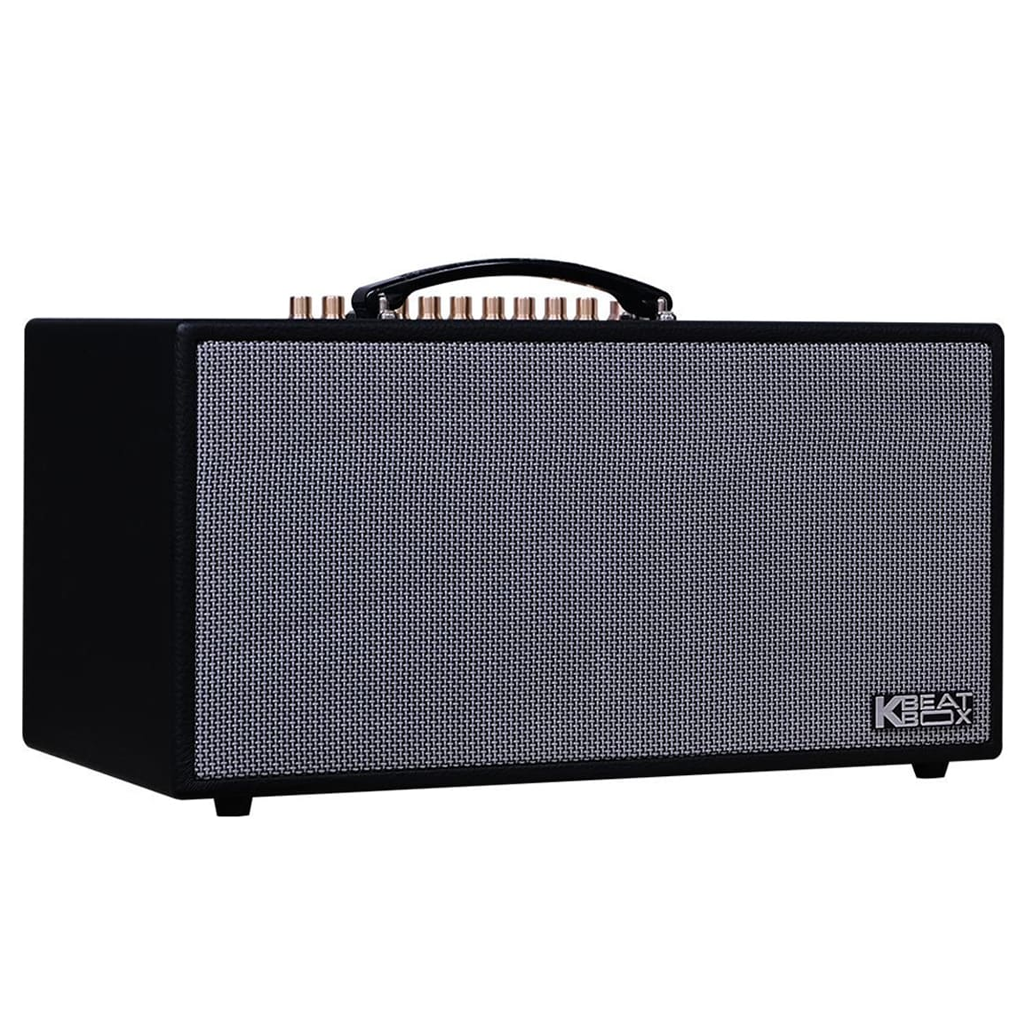 Loa Karaoke Xách Tay Acnos CS450SR 1