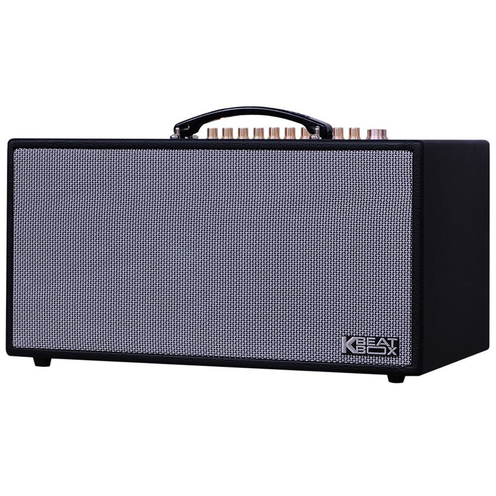 Loa Karaoke Xách Tay Acnos CS450SR 2