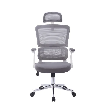 Ghế văn phòng ECOOC-2208W xám