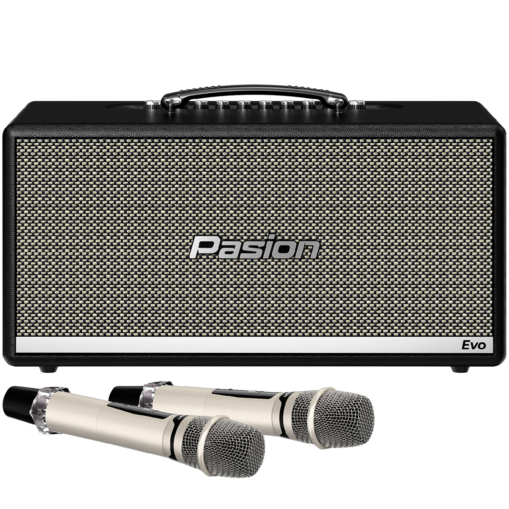 Loa Karaoke Di Động Xách Tay Paramax PASION Evo (Black Leather)