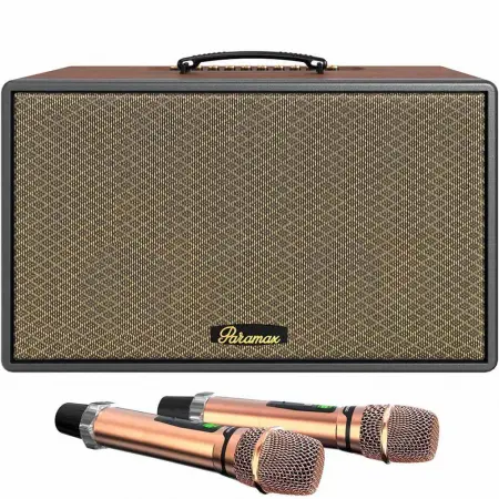 Loa Di Động X&aacute;ch Tay Saga (Brown Leather)