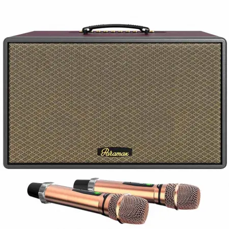 Loa Di Động X&aacute;ch Tay Saga (Burgundy Leather)