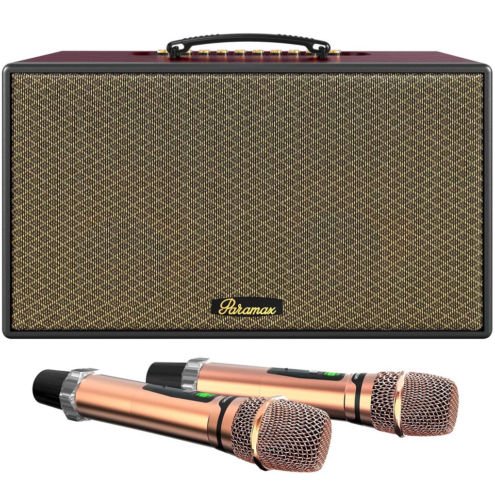 Loa Karaoke Di Động Xách Tay Paramax Aura (Burgundy Leather)