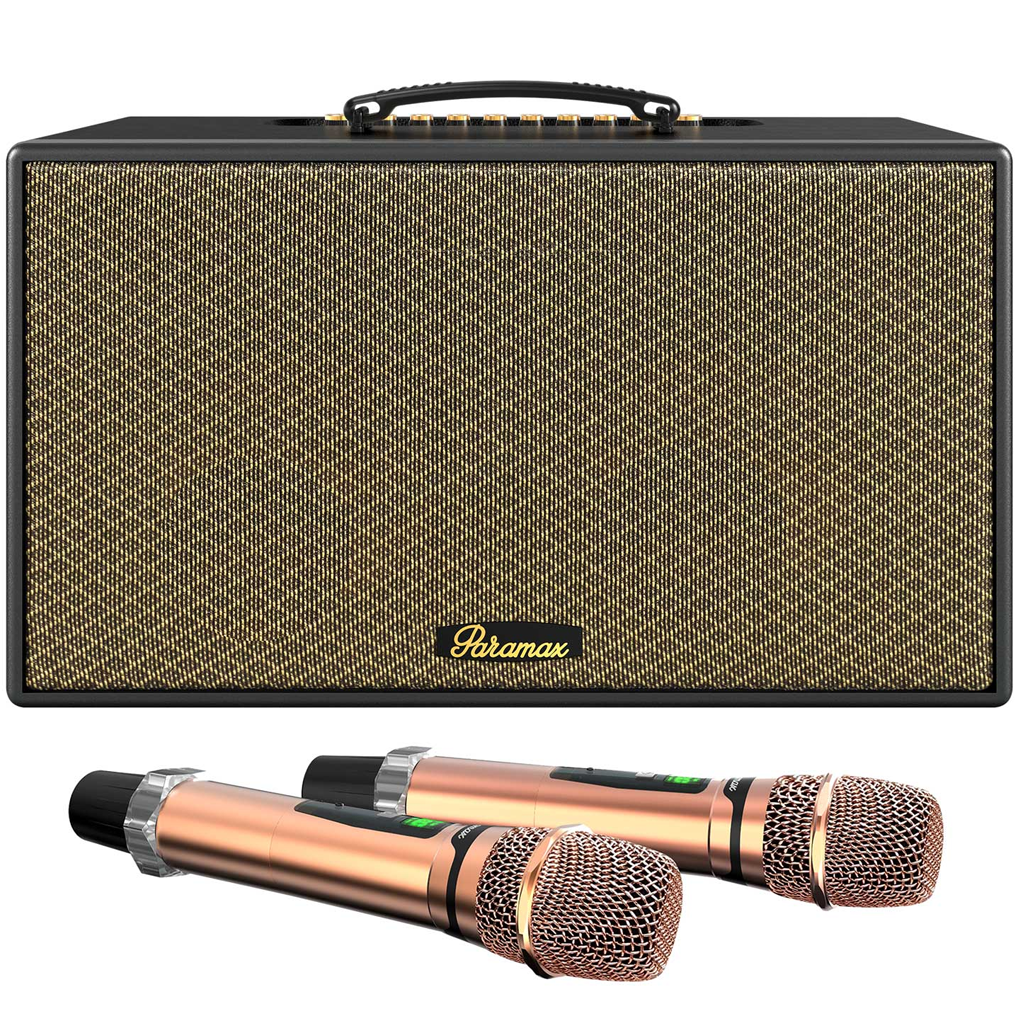 Loa Karaoke Di Động Xách Tay Paramax Aura (Black Leather)