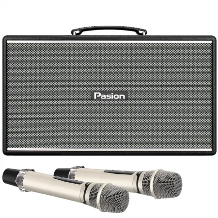 Loa Di Động Xách Tay PASION Enzo (Black Leather)