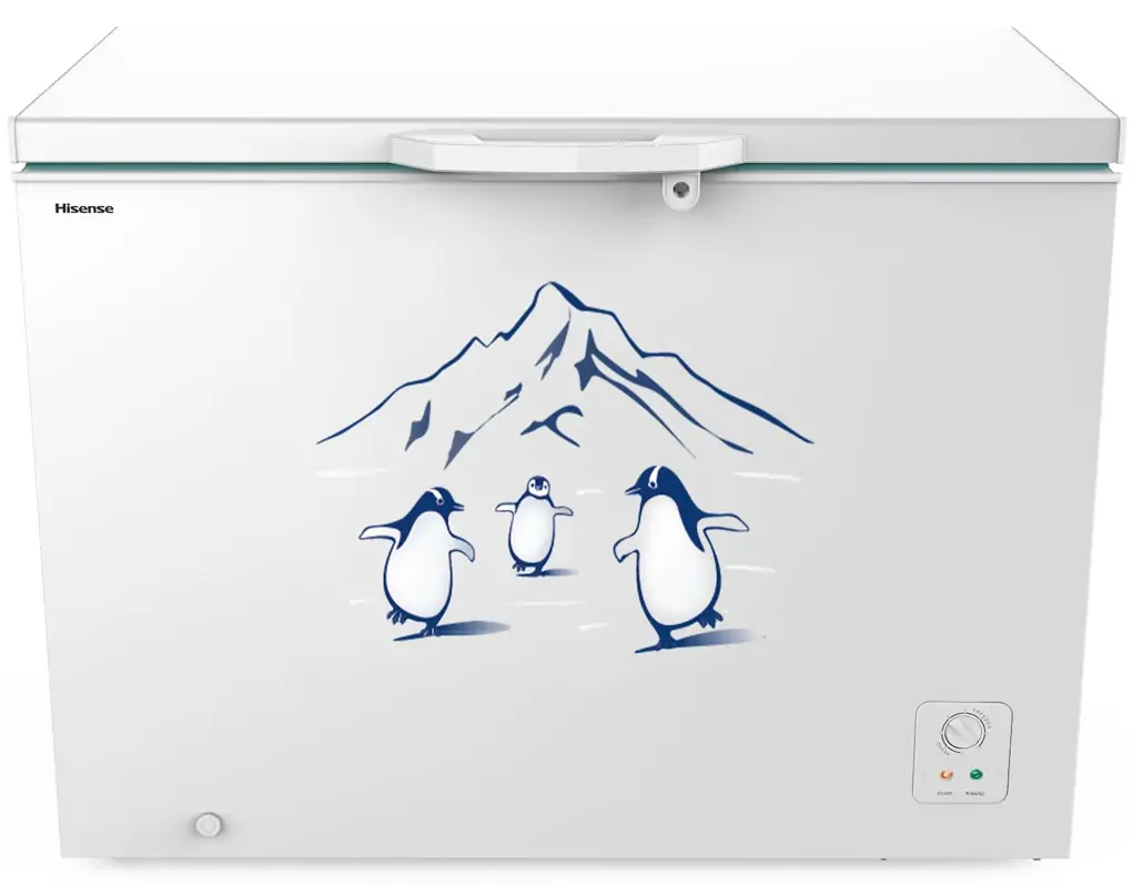 Tủ Đông Hisense Inverter 300 Lít FC380D4EWC1