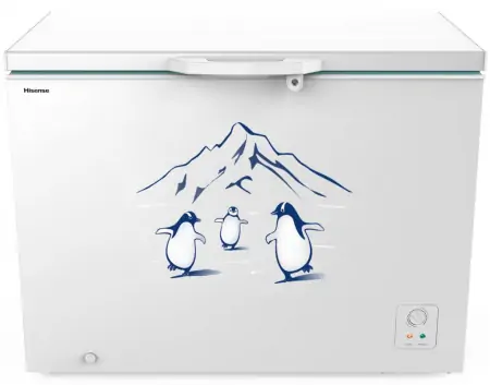 Tủ Đông Hisense Inverter 300 Lít FC380D4EWC1