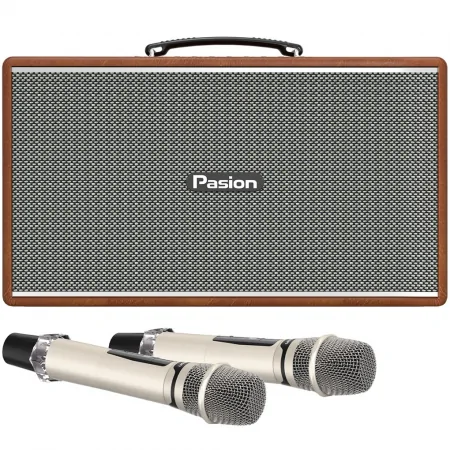 Loa Di Động Xách Tay PASION Enzo (Brown Leather)