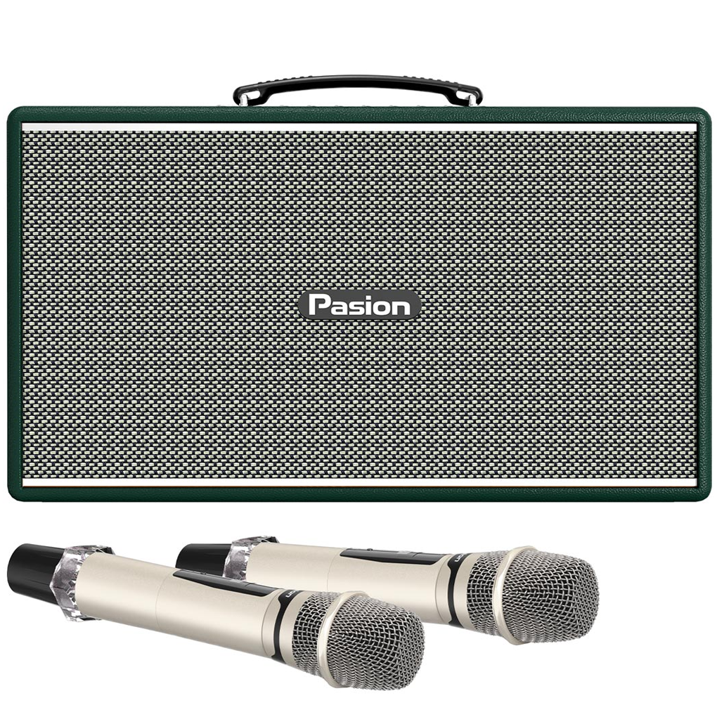 Loa Di Động Xách Tay Paramax PASION Enzo (Green Leather)