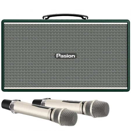 Loa Di Động Xách Tay PASION Enzo (Green Leather)