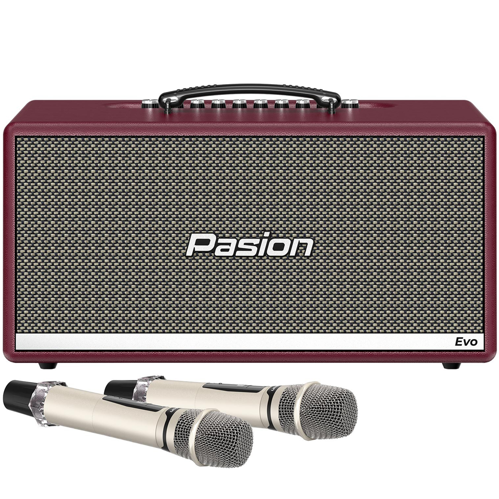 Loa Karaoke Di Động Xách Tay Paramax PASION Evo (Burgundy Leather)