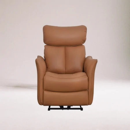 Ghế Thư Giãn Axel EM1073 79cm Nâu Cam