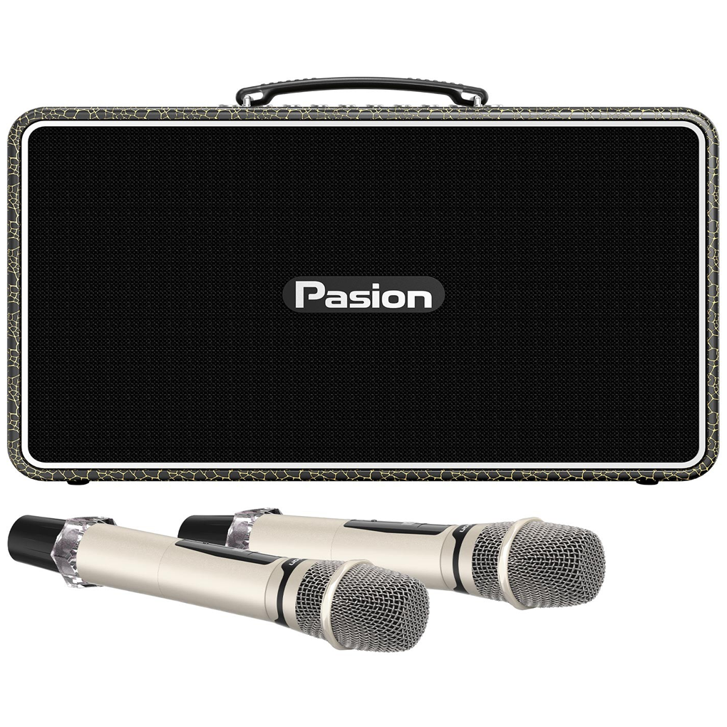 Loa Di Động Xách Tay Paramax PASION Arte (Golden Olive)