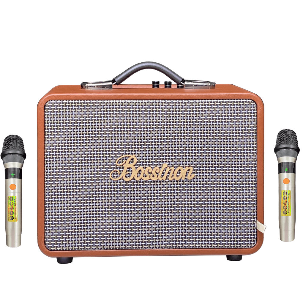 Loa Karaoke Xách Tay Bossinon H150i