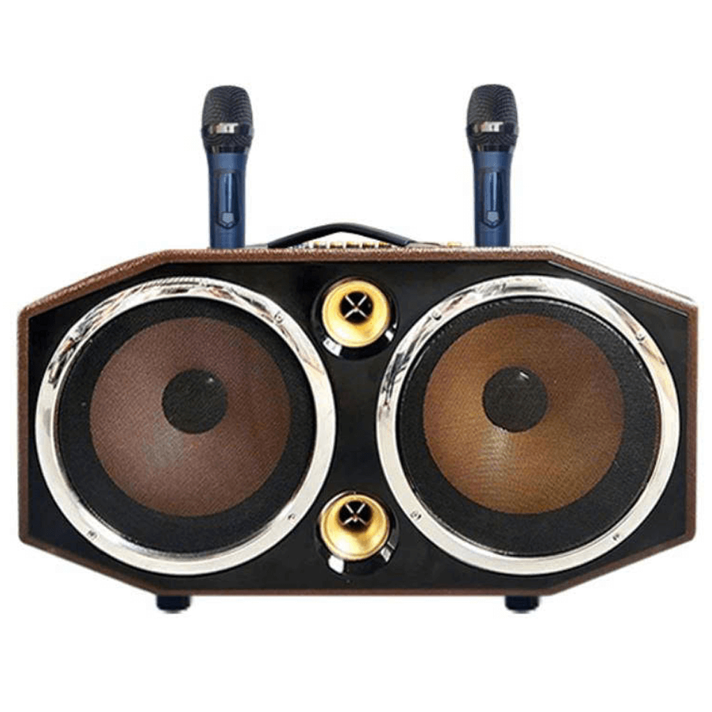 Loa Karaoke Xách Tay SUYANG PX-102