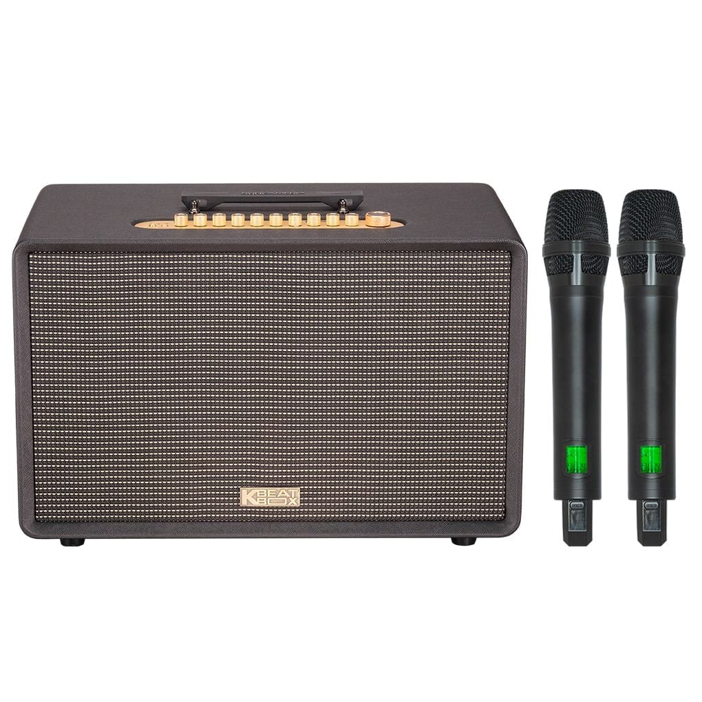 Loa Karaoke Di Động Acnos Flac 39 (màu Đen)