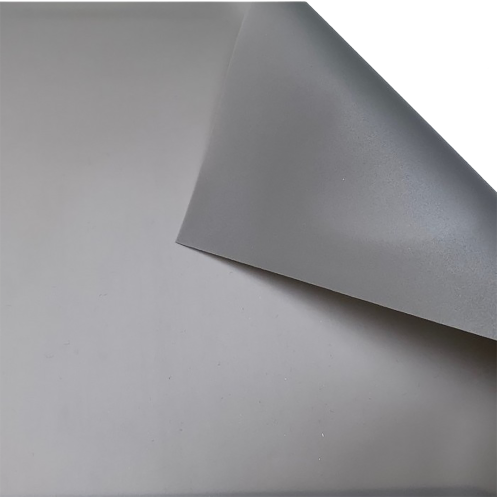 Màn Chiếu Projector Screen Ecor PAC100-SFC01