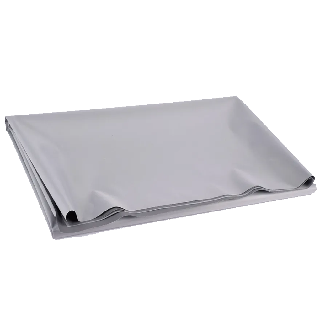 Màn Chiếu Projector Screen Ecor PAC100-SFC01