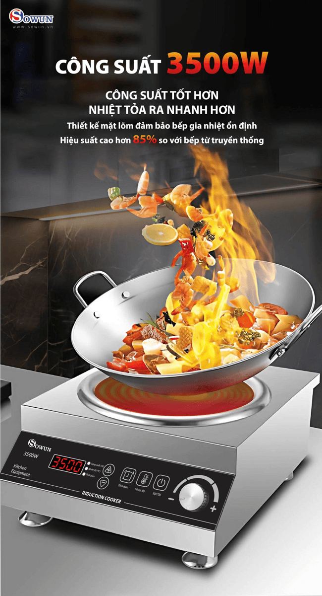 Bếp Từ Đơn Công Nghiệp Sowun SW 1230 3500W