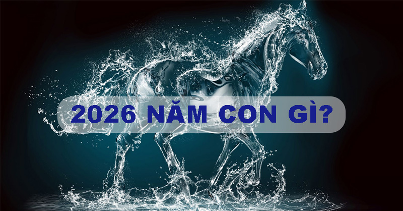 Năm này năm con gì 2026? Khám phá chi tiết và ý nghĩa của năm Bính Ngọ