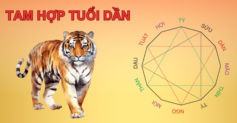 Tuổi Thìn Có Hợp Với Tuổi Dần Không? Tìm Hiểu Mối Quan Hệ Tình Duyên Và Công Danh