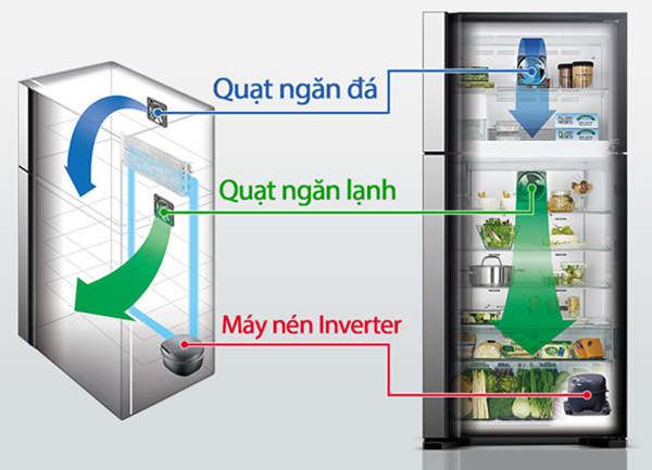 Nguyên Lý Tủ Lạnh: Cấu Tạo, Hoạt Động Và Ứng Dụng Thực Tế