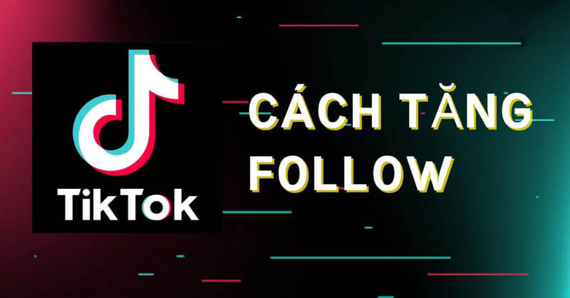 cách tăng fl tiktok