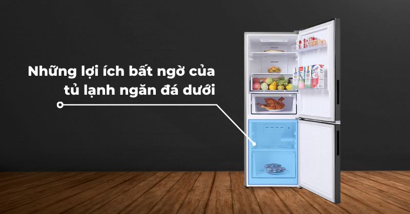 Lợi ích bất ngờ của tủ lạnh ngăn đá dưới mang