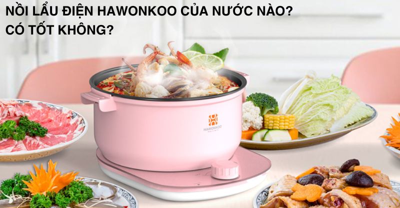 Hawonkoo的電子爐是哪個國家的？好嗎？