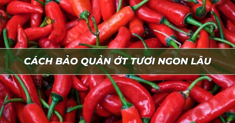 Cách bảo quản ớt tươi ngon lâu và ít bị hư hỏng.