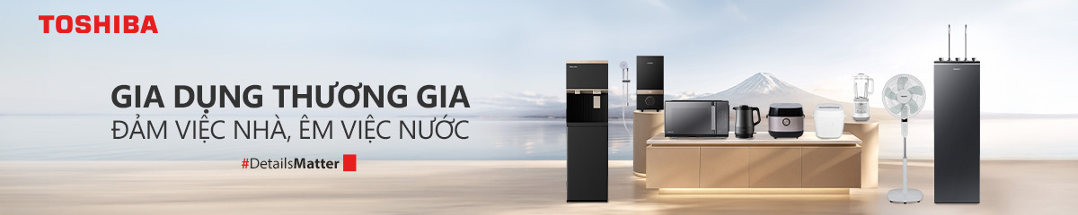 Đảm việc nước, êm việc nhà