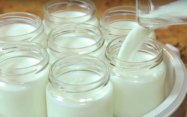 Cách Làm Sữa Chua Phô Mai Đà Lạt Ngon Chinh Phục Mọi Khách Hàng