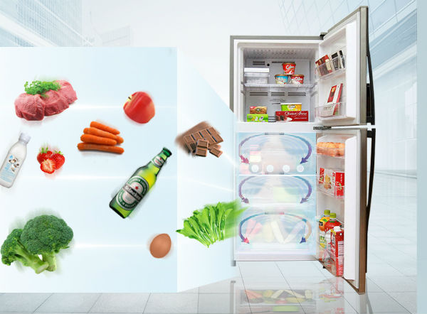 Tủ lạnh LG Inverter 187 Lít GN-L205S