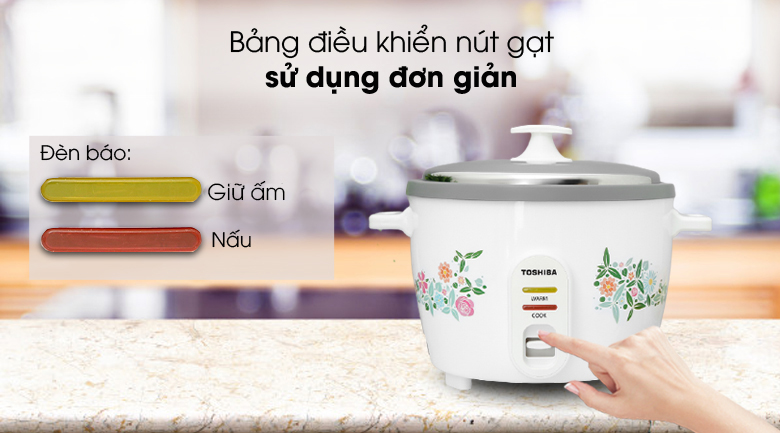 Nút gạt đơn giản