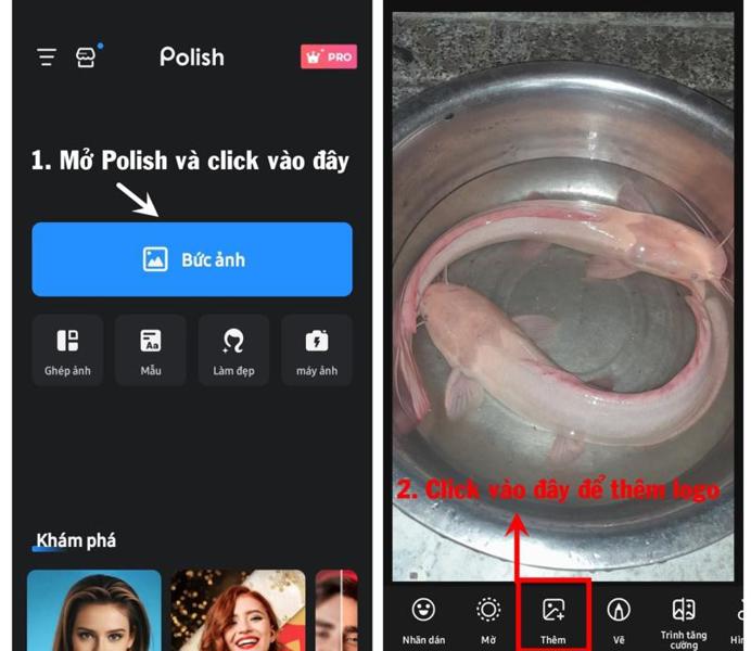 chèn logp vào ảnh bằng polish