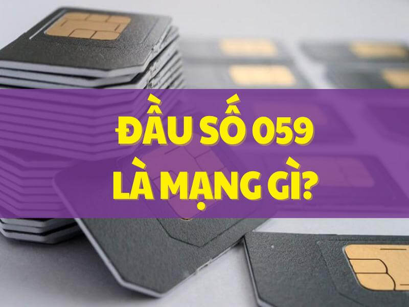 Đầu số 059 là mạng gì