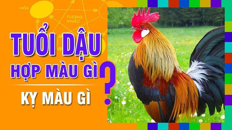 Màu sắc hợp với tuổi Ất Dậu 2005