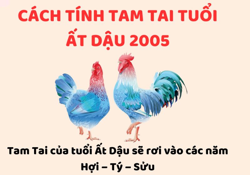 Cách tính tam tai cho người sinh năm 2005