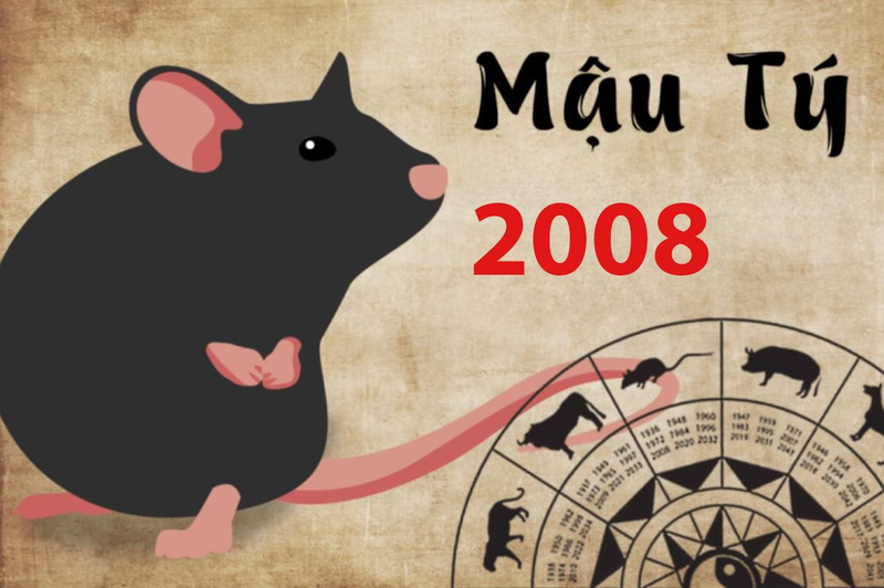 Mậu Tý sinh năm 2008 hợp màu gì, kỵ màu gì