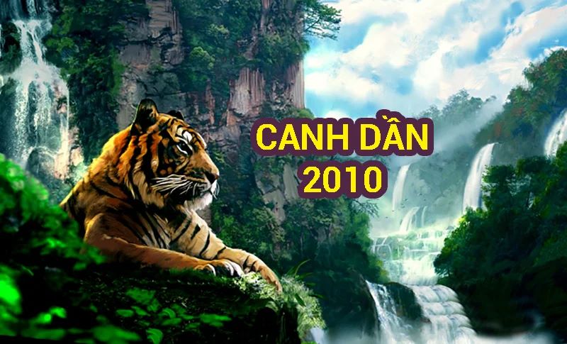 Sinh năm Canh Dần 2010 thuộc cung gì